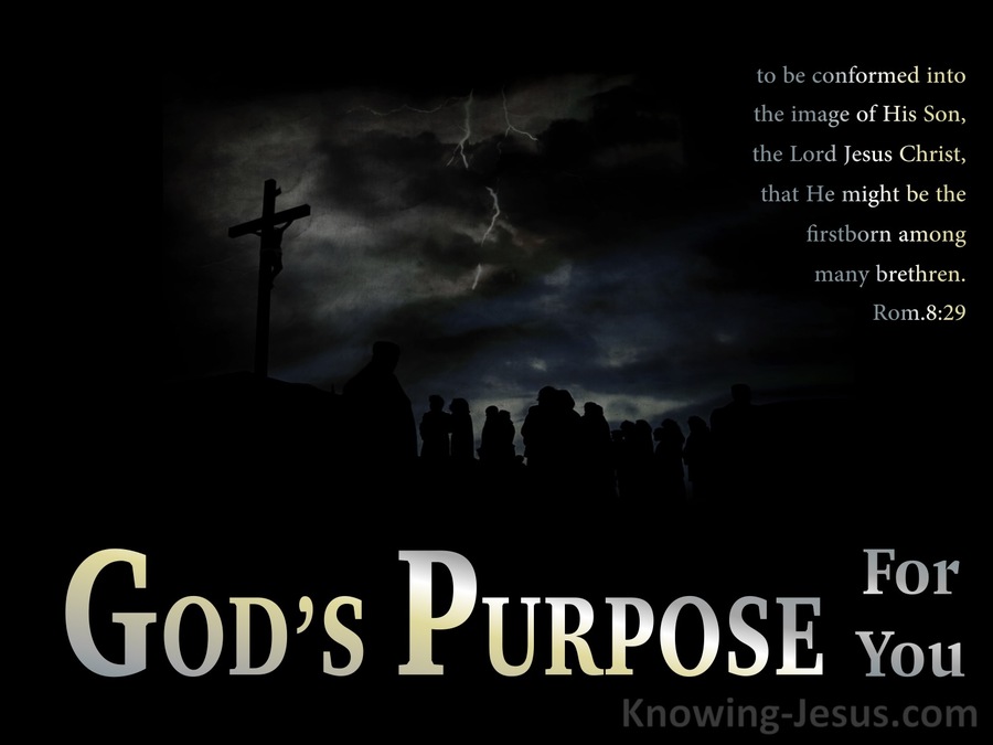 Romans 8:29  God's Purpose For You (devotional)06:02 (black)